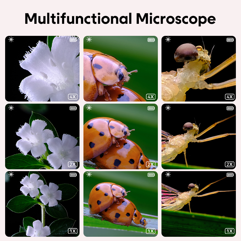 Tiny Explorer: Uncover the Wonders of the Micro World!
