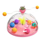 Multifunctional Turntable Pet Toys